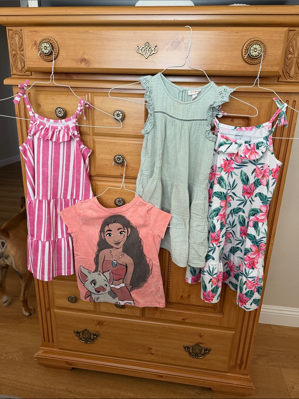 Girls Dress Bundle size 5